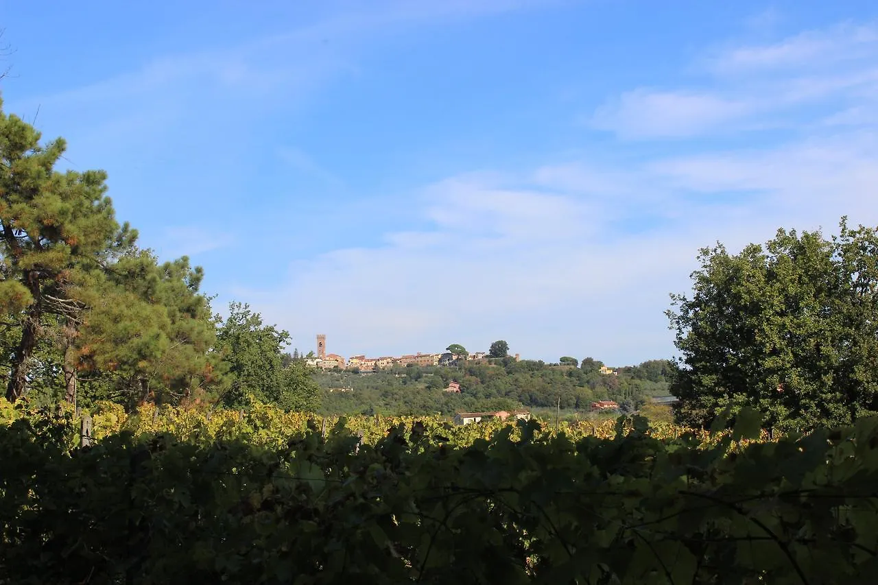 Buonamico Wine Resort Montecarlo